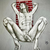 grapet avatar
