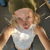 magylexy avatar
