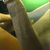 chrisx32x1991 avatar