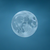 traderz avatar