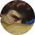 rocky_23 avatar