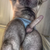 furrydonatus avatar