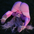 flexy.lover avatar