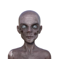 pok avatar