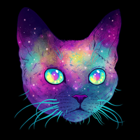 spacecat2023 avatar