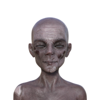 ruanzmanski avatar
