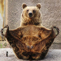 bear.millionaire avatar