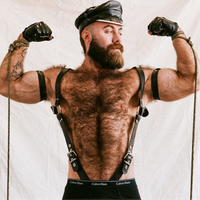gogoteddybear avatar