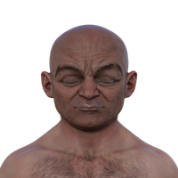 son.gogo avatar