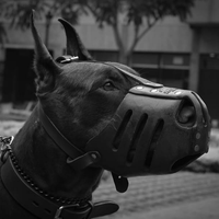 blackdog avatar