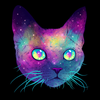 spacecat2023 avatar