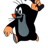 pedro88 avatar