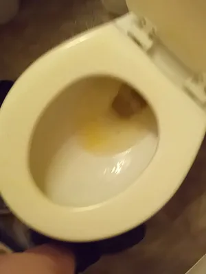 #Pissing #Masturbation #Vertical Porn