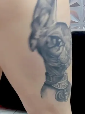#Masturbation #Solo #Onlyfans #Big Natural Tits #Sexy #Tattoo Girl #Tetas Naturales #Juguetes #Consolador #Tatuaje #Tatuaje Pierna #Juego Con Dildo #Tatuaje Vientre #Dildo Cuerpo Entero