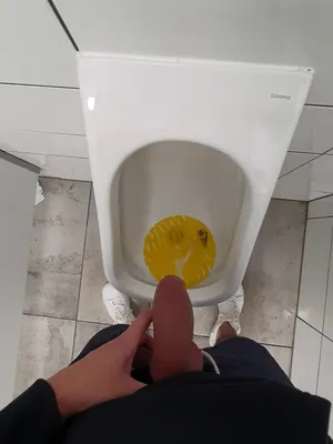 #Mijo #Vaso Sanitário #Pornô Vertical
