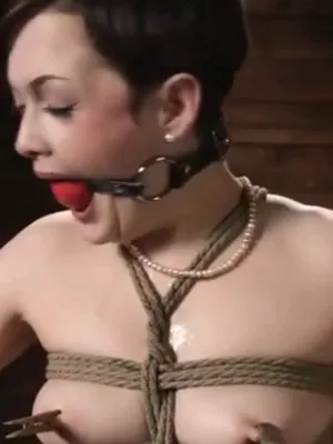 #Bondage #Tits #Brunette #BDSM #Small Tits #Pussy #Whip #Gag #Gagged #Clamps #Trimmed #Belly Piercing #Sybian #Leaks
