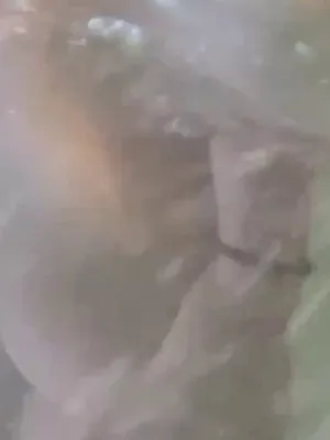 #Onlyfans #Vertical Porn #流出 #Nofacej19