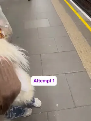 Fur-Clad Seductress Beckoning Cock-Ridden Train Riders