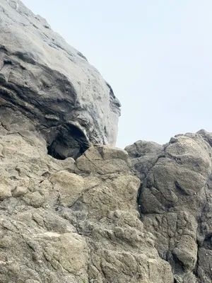 #Public #Masturbation #Ass #Cumshot #Milking #Beach #Tan Lines #Cum #Nude #Onlyfans #Femboy #Thong #Smooth #Spread Ass #Perfect Ass #Bubble Butt #Oiled Ass #Public Masturbation #Risky Public #Nude Beach #Crop Top #Public Beach #Self Cum Eating #Thong To The Side #Girl Cock #Cum In Hand #Sissy Boy #Thick Cock Sissy