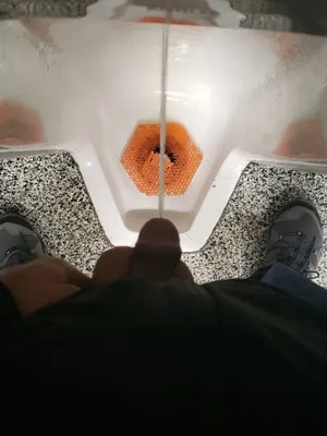 #Pissing #Toaleta #Vertical Porn