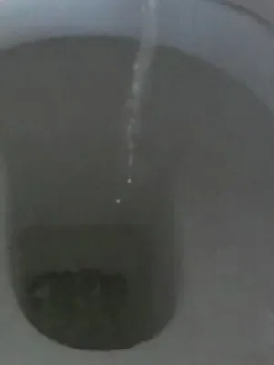 #Pissen #Toilette #Fetisch #Peeing #Dominante Frau #Piss Play #Pisse Schlucken #Mädchen Pinkeln #Piss Schlampe