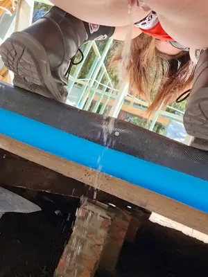 #Pisser #Vertical Porn