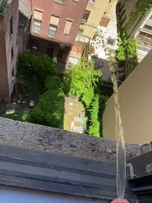 #Pissing #Kutas #Vertical Porn