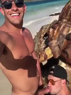 #Blowjob #Couples #Muscular #Vertical Porn