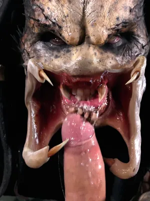 #Blowjob #Pissing #Mask #Facial #Cosplay #Horror #Cowgirl #POV #Horrorporn.com #Forest #Dark #Fucking #Brittany Bardot #Mad Bundy #Trimmed #Movie #Facial Cumshot #Scary Porn #Predator #Movie Parody #Scary #Fear Fetish #Goperv.com