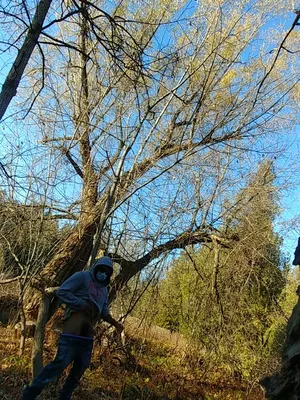 #Masturbation #Outdoor #Vertical Porn