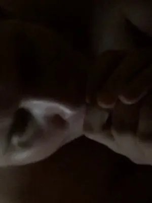 #Blowjob #Czech #Vertical Porn