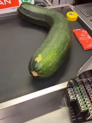 #Funny #Cucumber #Food #Big #FYP #Instagram Leaks #Reels #Insta Reels