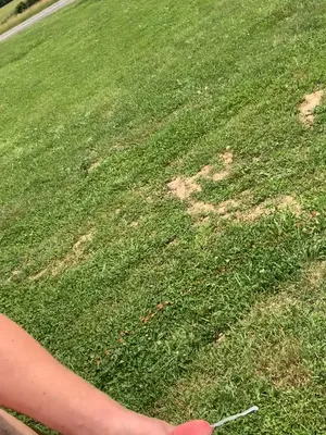#Cumshot #Handjob #Outdoor #Vertical Porn