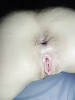 #Asshole #Vertical Porn