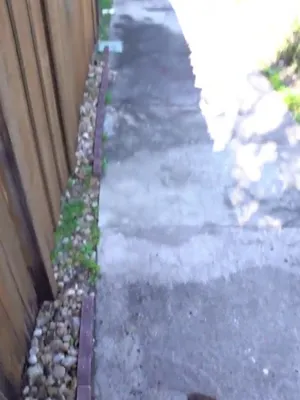 #Blowjob #Brunette #Pigtails #Outdoor #Vertical Porn