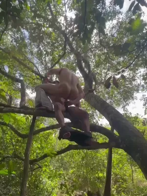 #Público #Divertido #A Pelo #Gay #Joder #Vertical Porn #Public Park Sex #Fuck On The Tree