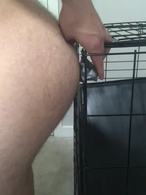 #Vibrátor #Vertikální Porno