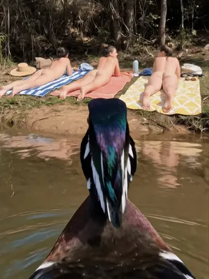 #Público #Tetas #Culo #Voyeur #de- D Esnudo #Cámara #Al Aire Libre #Cámara Oculta #es- E Spiar #es- E Spionaje #FYP #Viral #Tiktok Porn #Duck #Filtraciones #Fugas De Instagram #Spycam #Tiktok18+ #fr- F Reak Hub #Nextgen Vids