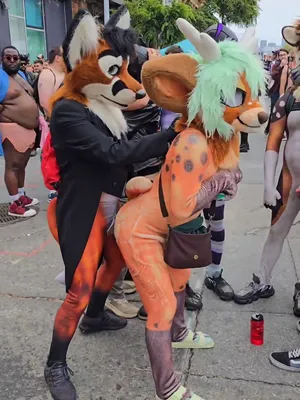 #Public #Doggystyle #Big Cock #Bareback #Gay #Fucking #Furry #Vertical Porn #Gay Pride