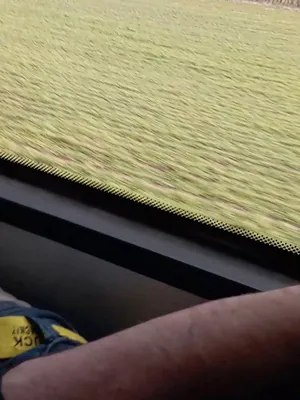 #Public #Dick #Bus #Vertical Porn