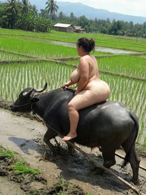 #Asian #Public #Brunette #Naked #Outdoor #Bizzare #Big Natural Tits #FYP #Viral #Tiktok Porn #Bull #Leaks #Instagram Leaks #Chubby #Tiktok18+ #Freak Hub #Nextgen Vids #Sdtdmit #Rice Field