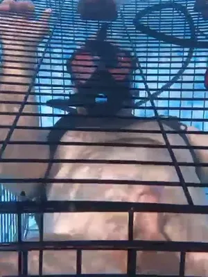 #Bondage #Fetish #Underwater #Vertical Porn